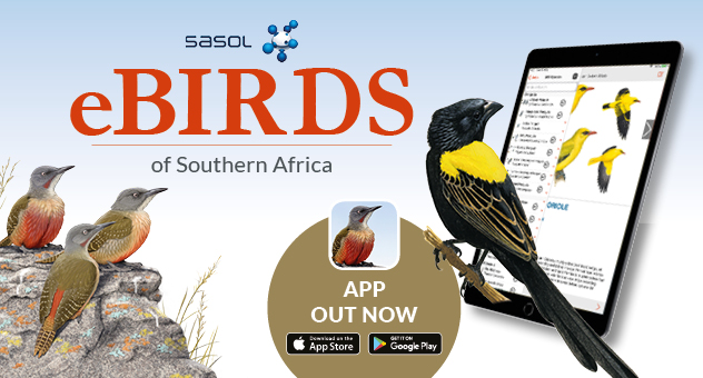Sasol eBirds of Southern Africa