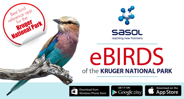 Sasol Birds of the Kruger National Park